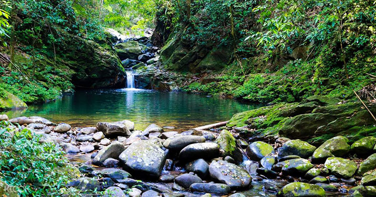 Bach Ma National Park - Hue