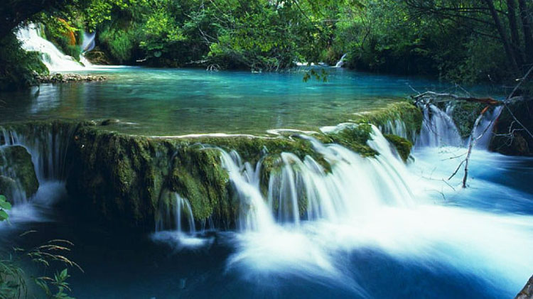 Bach Ma national park-Hue