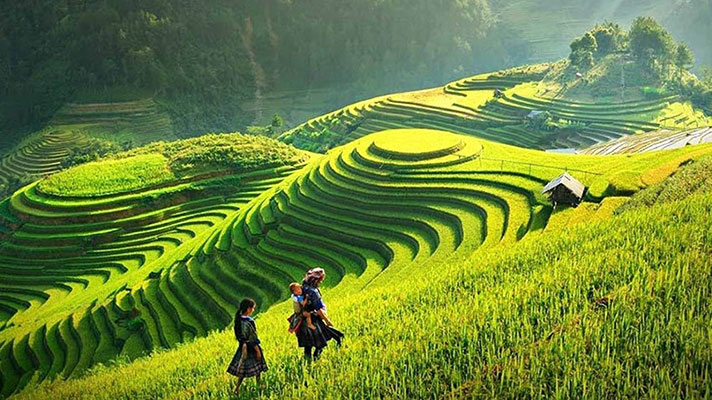 The Timeless Beauty Of Sapa: Diverse Ethnics and Stunning Nature