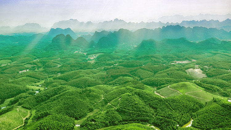 A glance at Ninh Binh