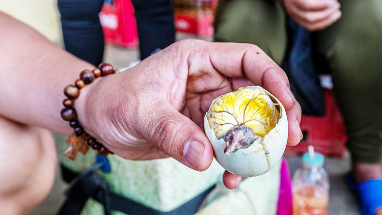 Balut, an iconic Vietnamese street offering