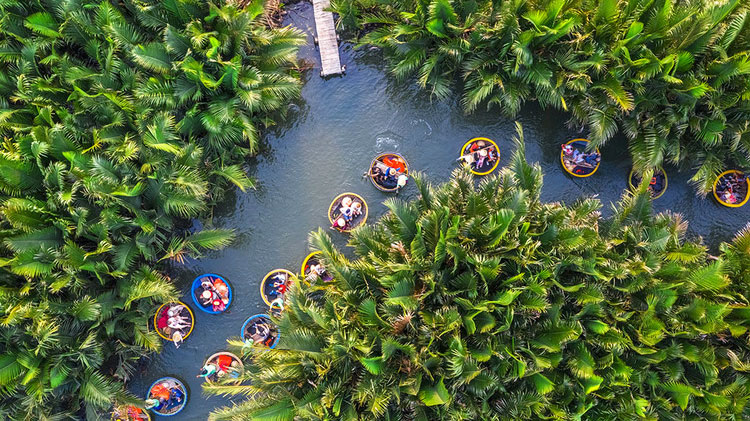 Bay Mau coconut forest