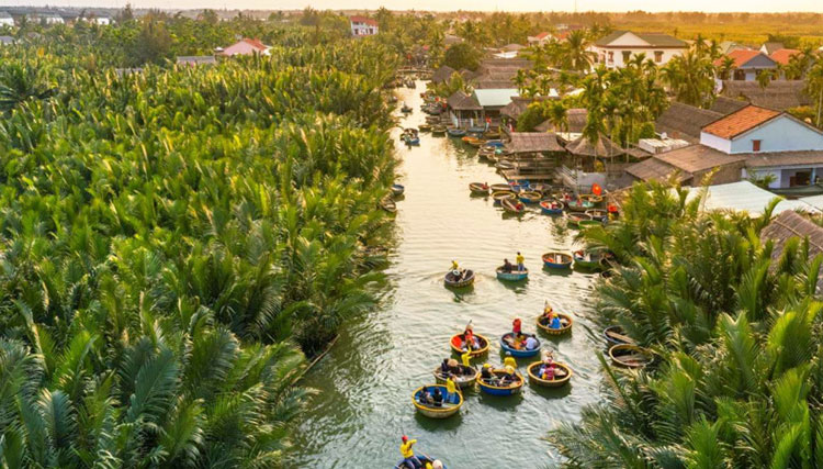 Bay Mau coconut forest