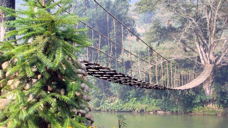 Rattan bridge