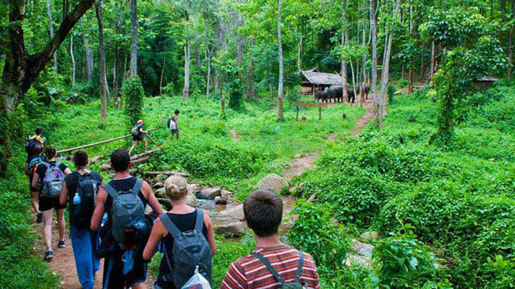 Cuc Phuong national park