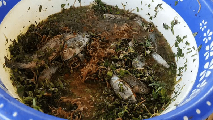 Fish jumping in a bowl of salad