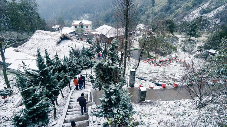 Sapa winter