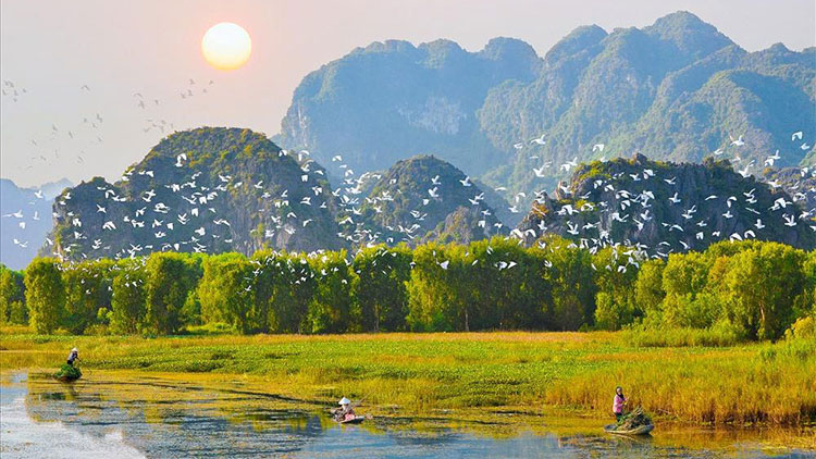 Sunset at Thung Nham bird park