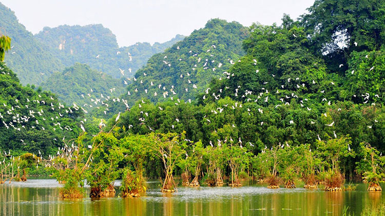 Thung Nham bird park