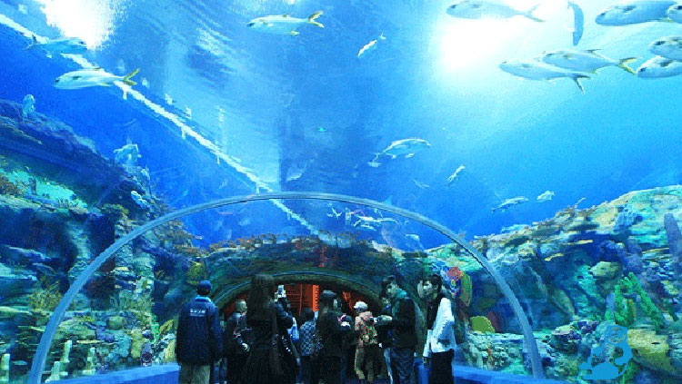 Museum Of Oceanography